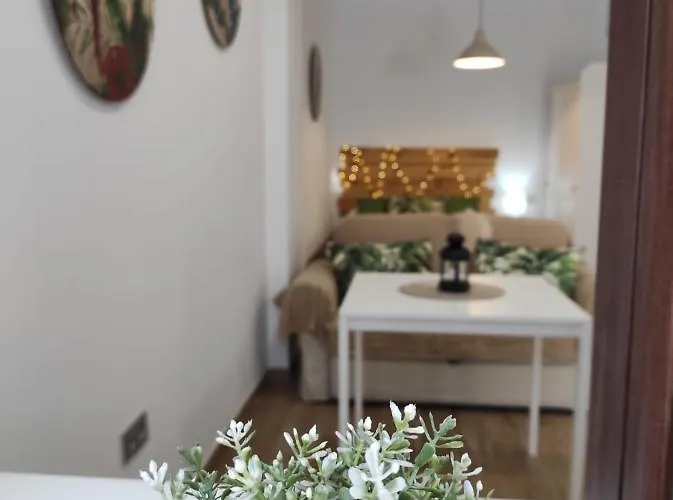 Loft Tulipanes Amarillos Junto A La Mezquita * קורדובה