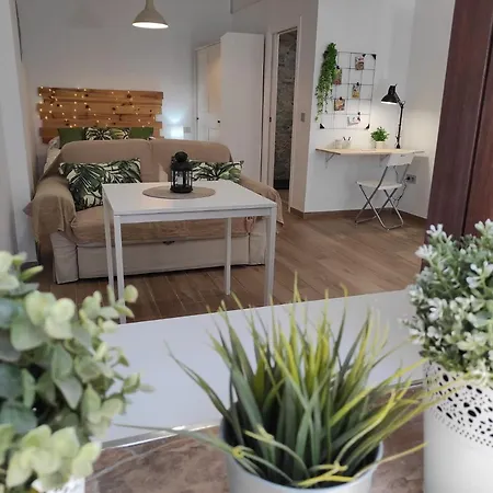 Loft Tulipanes Amarillos Junto A La Mezquita *