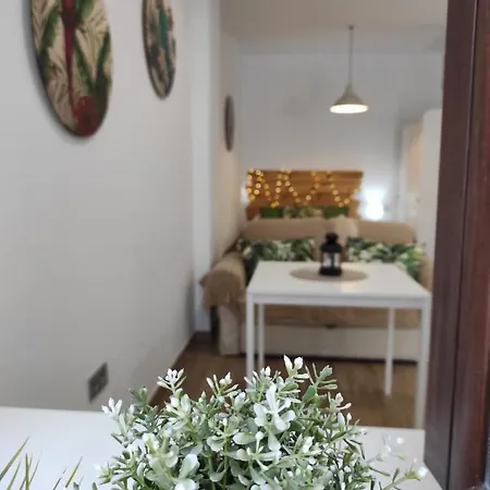 Loft Tulipanes Amarillos Junto A La Mezquita * Cordoba